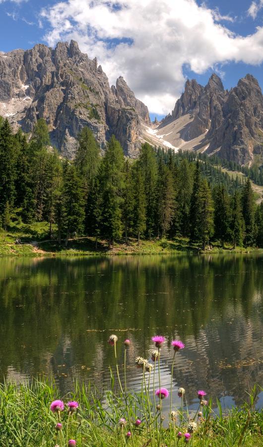 Il Cardo