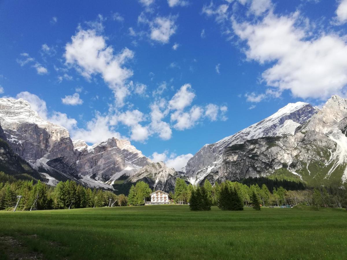 Il Cardo