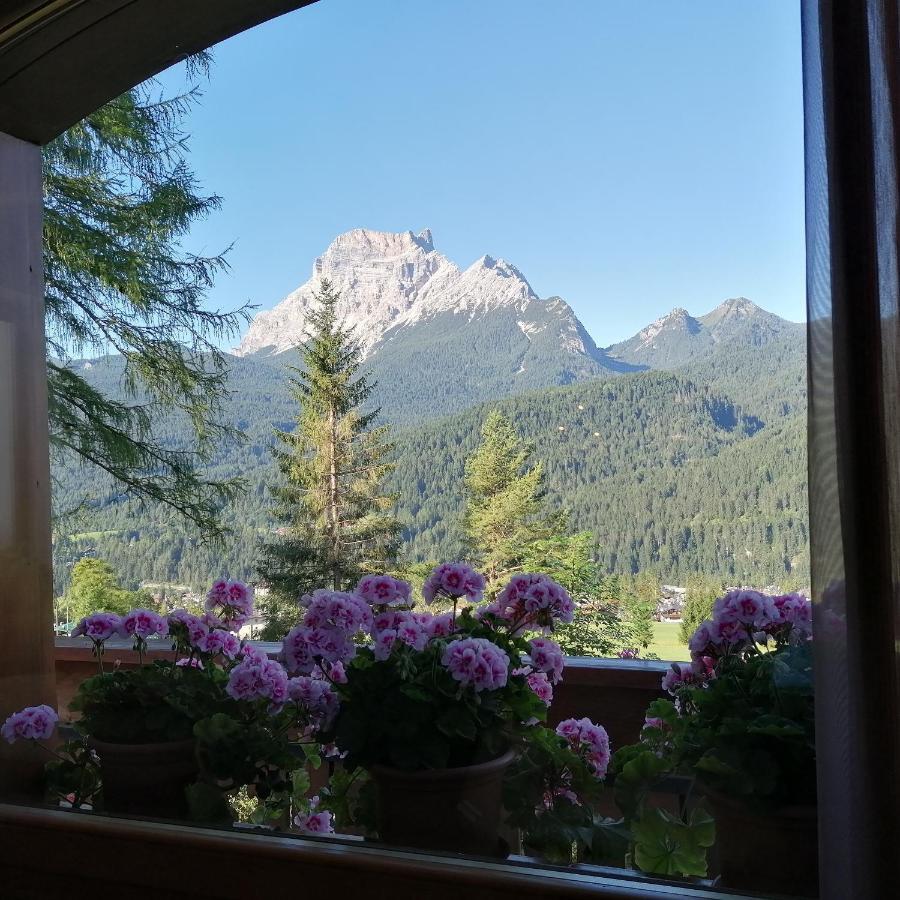 Il Cardo