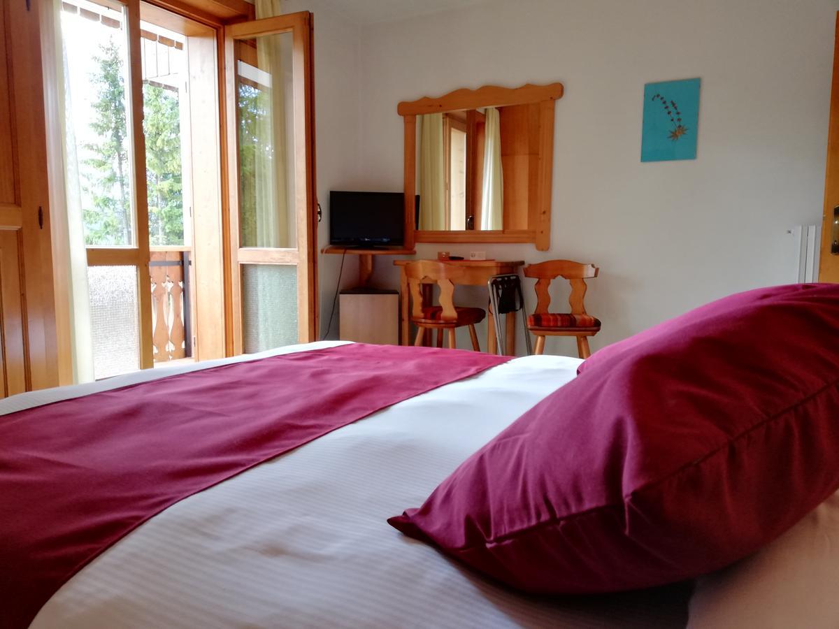 Il Cardo 3* San Vito di Cadore