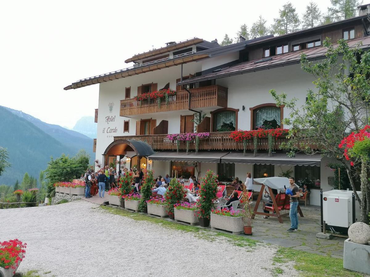 Il Cardo 3*